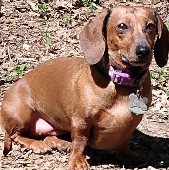 Meet your Posher, Sandra - Picture 2 of 2